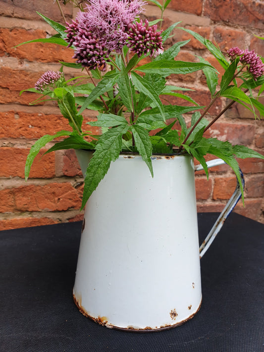 Enamel jug, medium sized