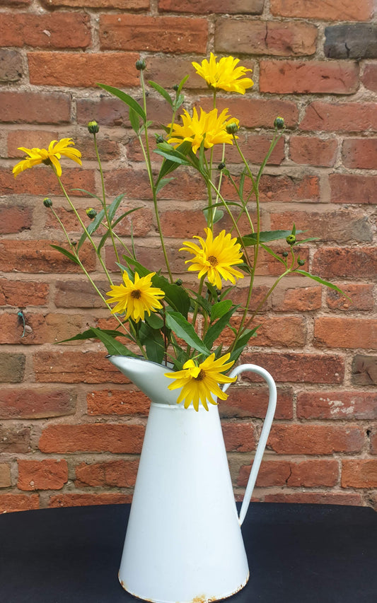 Enamel jug, large